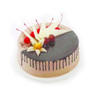 Chocolate Special